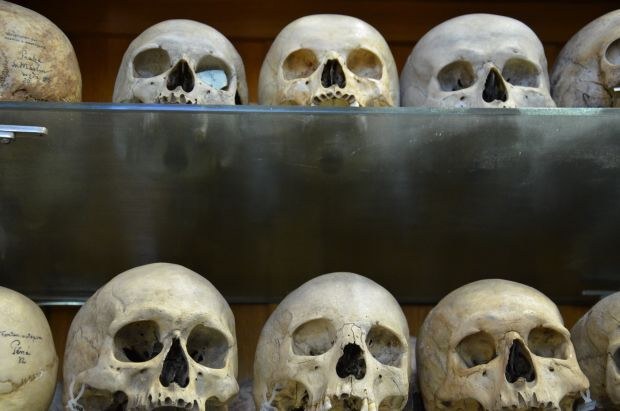 Pražské Hrdličkovo muzeum člověka předvádí, jak jsme se vyvinuli do dnešní podoby