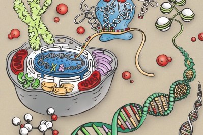 Workshop: Tajemství lidské DNA